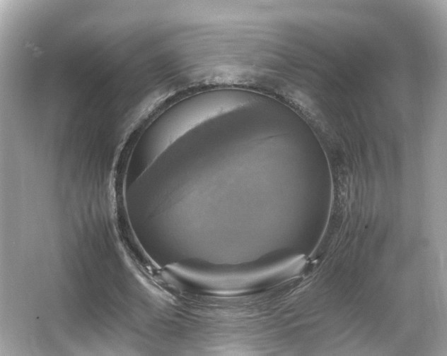 X0000066100678200603131230