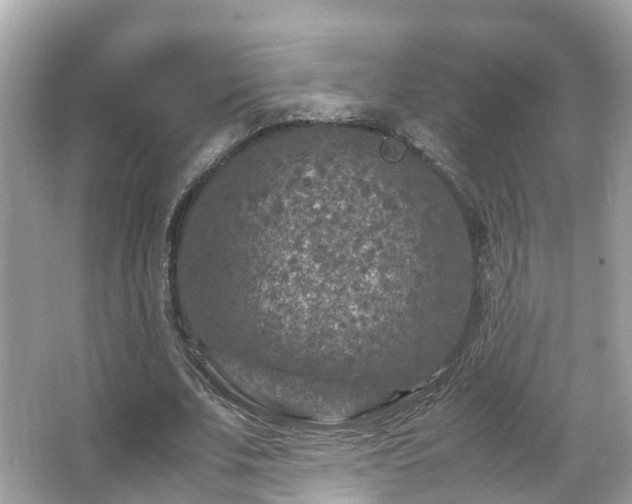 X0000066100679200603131230