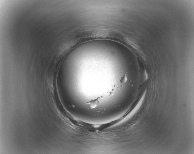 X0000066100681200603131230