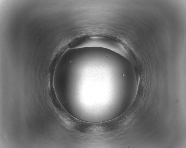 X0000066100685200603131230