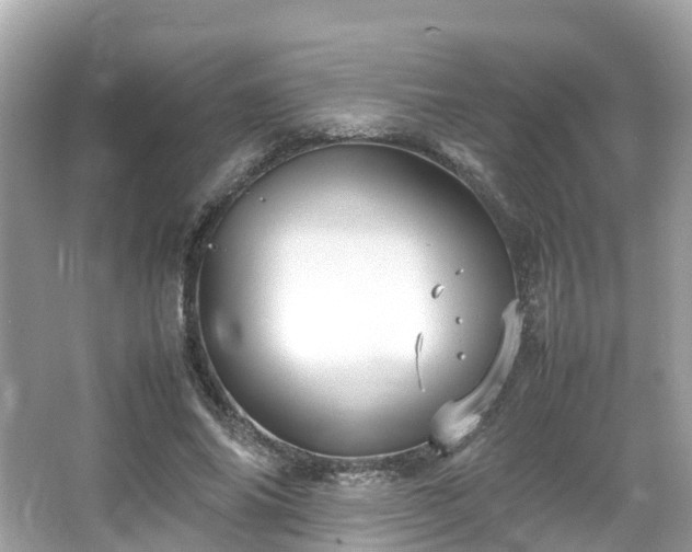 X0000066100686200603131230