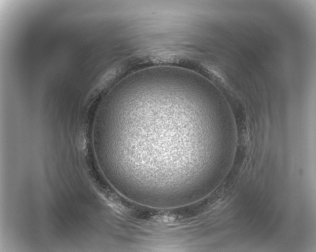 X0000066100687200603131230