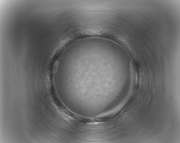 X0000066100688200603131230