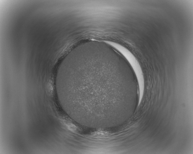 X0000066100691200603131230