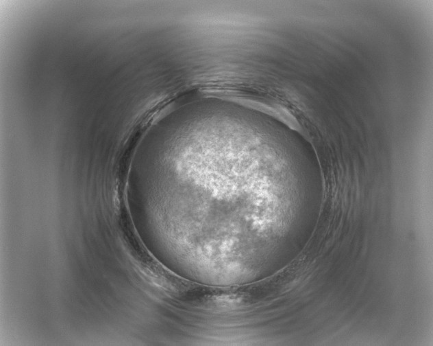 X0000066100692200603131230