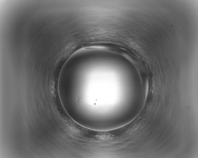 X0000066100693200603131230