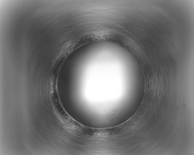 X0000066100694200603131230