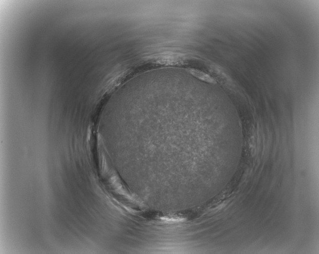 X0000066100696200603131230