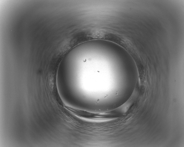 X0000066100697200603131230