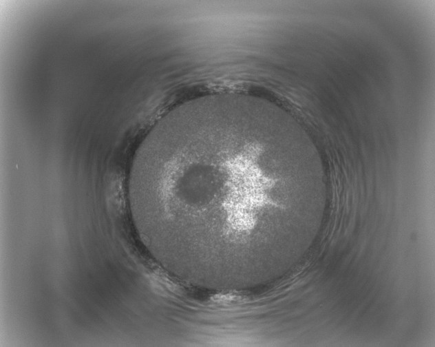 X0000066100699200603131230