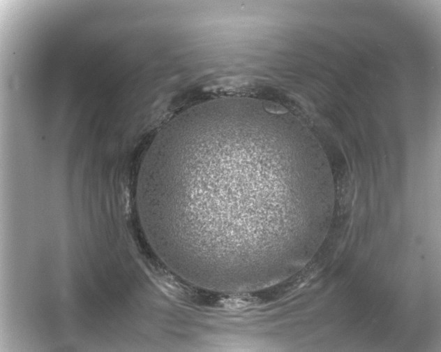 X0000066100703200603131230