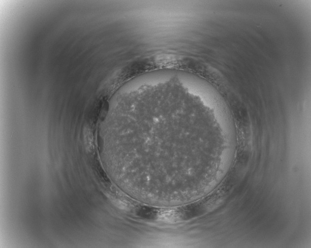 X0000066100705200603131230