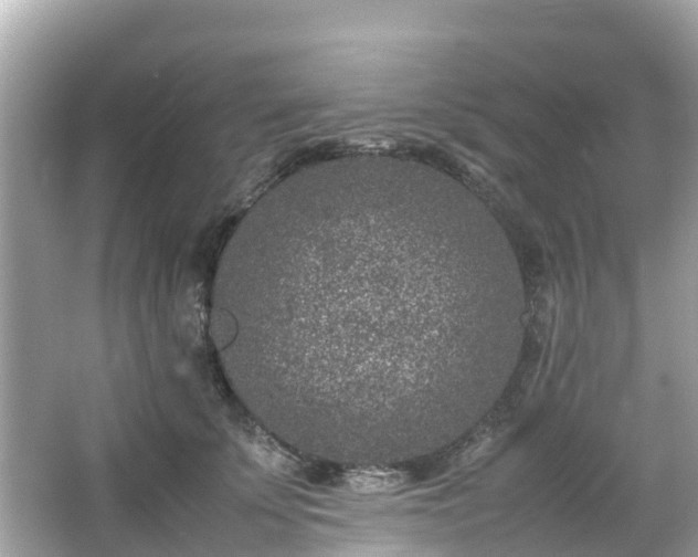 X0000066100707200603131230