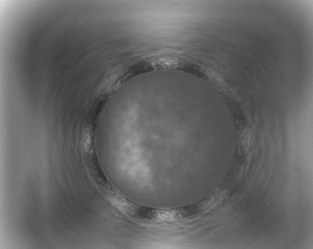 X0000066100709200603131230