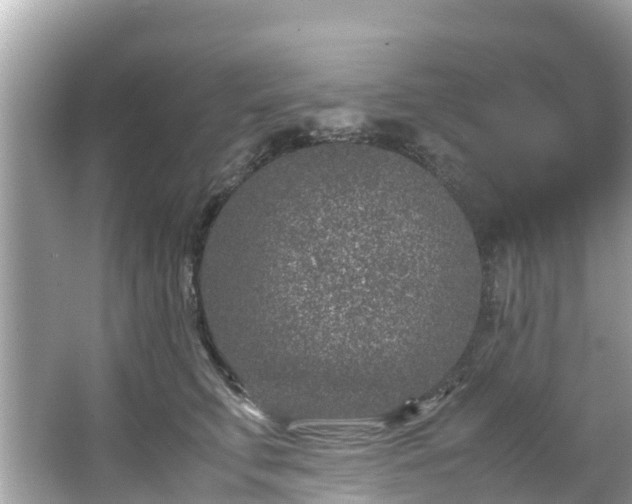 X0000066100711200603131230