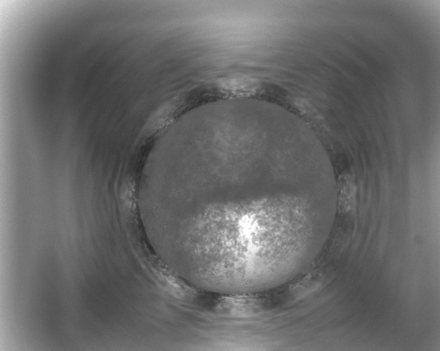 X0000066100713200603131230