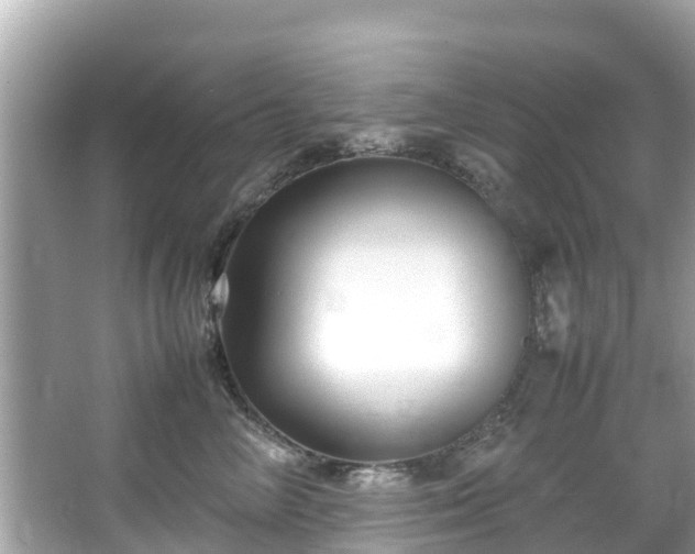 X0000066100714200603131230