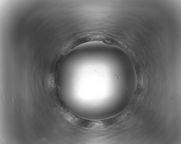 X0000066100715200603131230