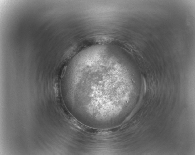 X0000066100716200603131230