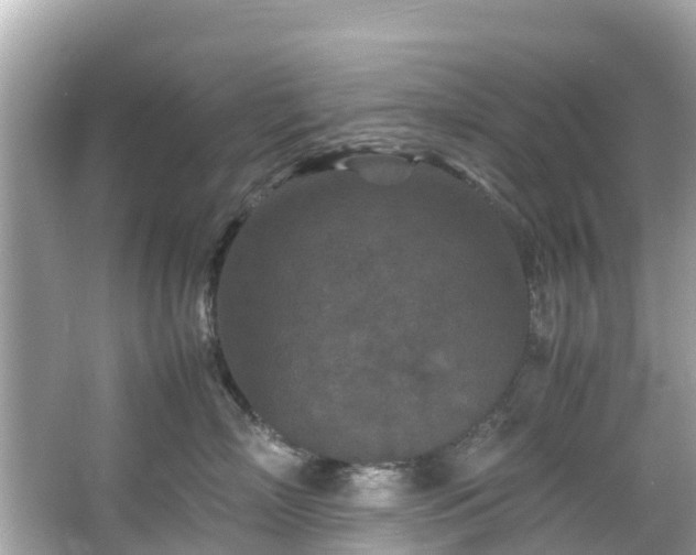 X0000066100718200603131230