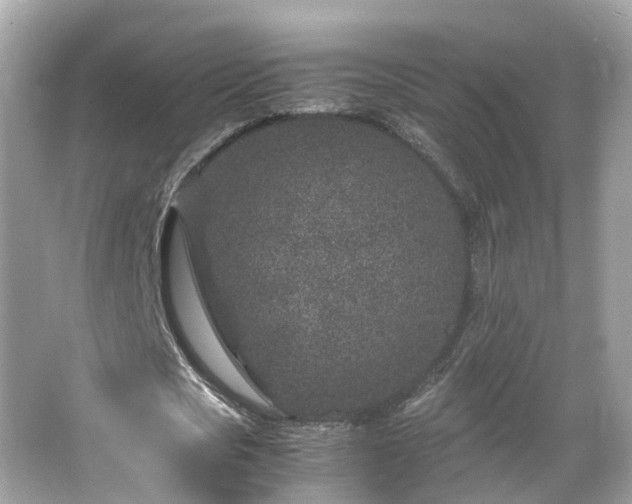 X0000066100721200603131229