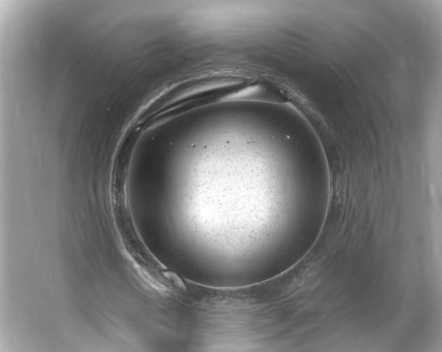 X0000066100722200603131229