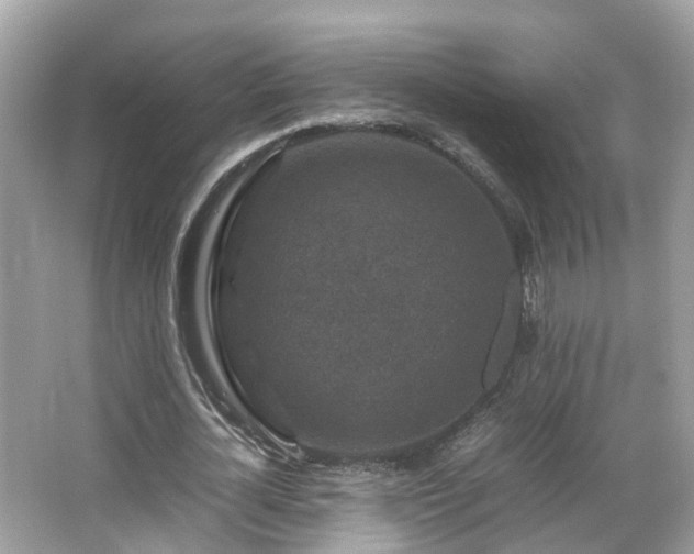 X0000066100724200603131229