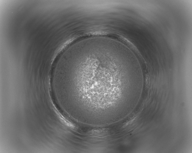 X0000066100725200603131229