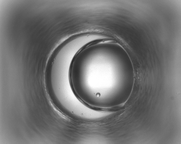 X0000066100726200603131229