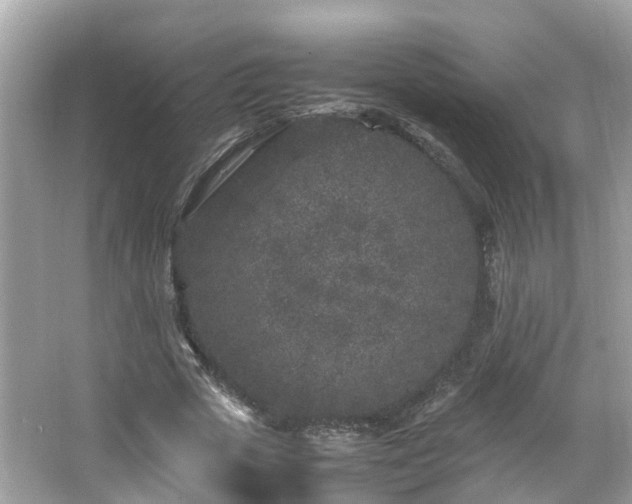 X0000066100729200603131229