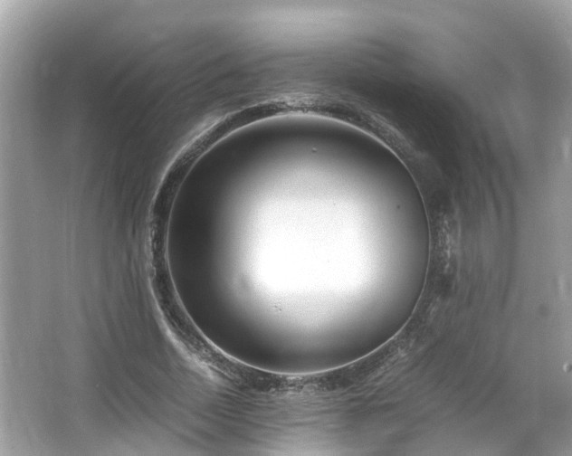 X0000066100730200603131229