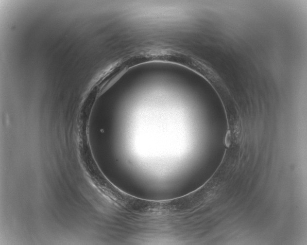 X0000066100732200603131229