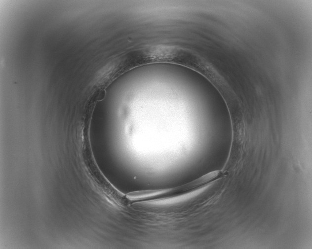 X0000066100733200603131229