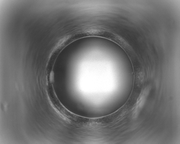 X0000066100734200603131229