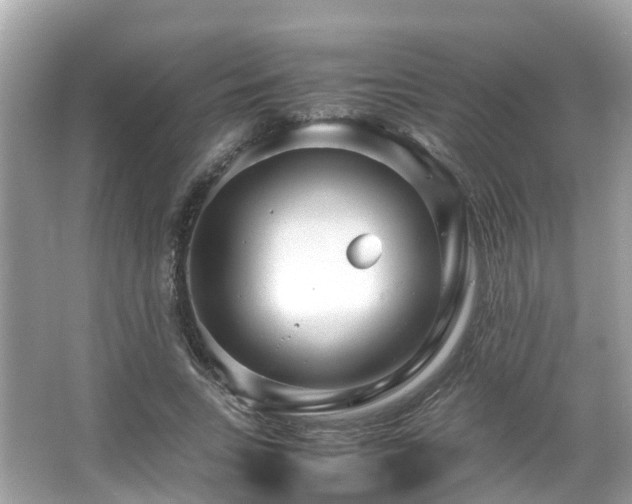 X0000066100735200603131229