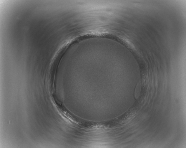 X0000066100736200603131229