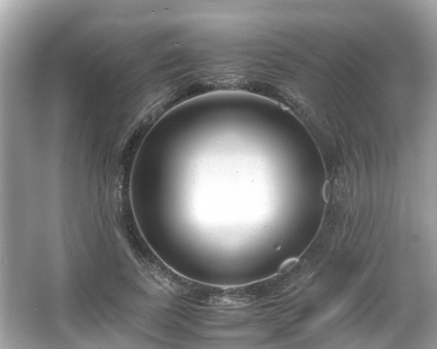 X0000066100739200603131229