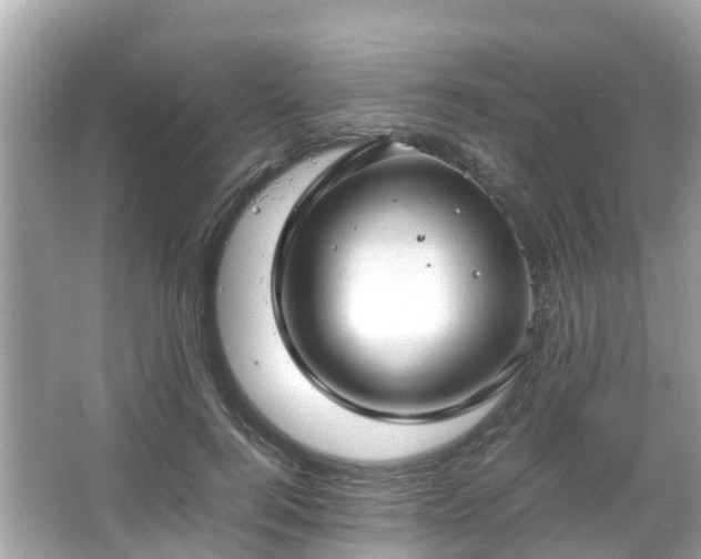 X0000066100744200603131229