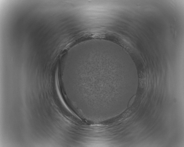 X0000066100748200603131229