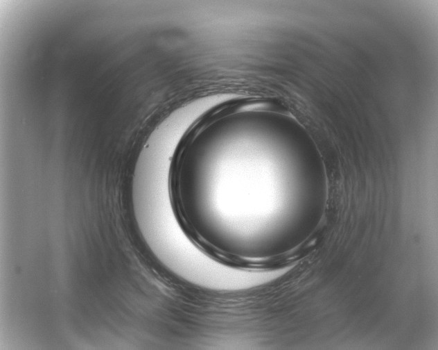 X0000066100750200603131229