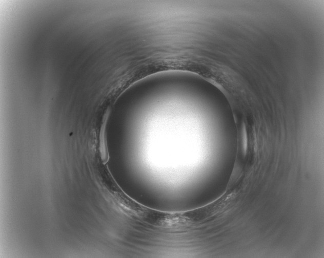 X0000066100752200603131229