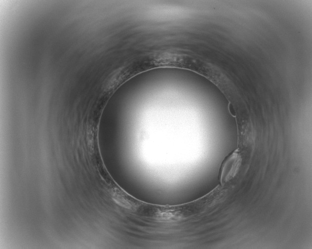 X0000066100753200603131229