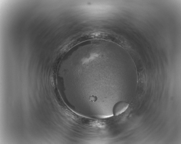 X0000066100754200603131229