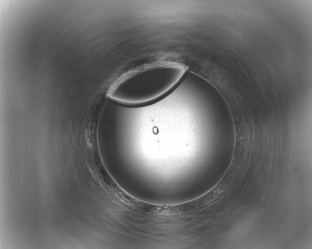 X0000066100755200603131229