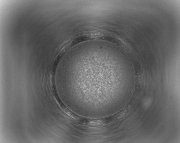 X0000066100757200603131229