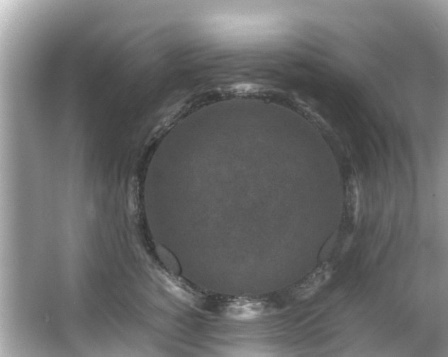 X0000066100760200603131230