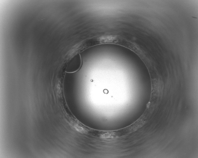 X0000066100761200603131230