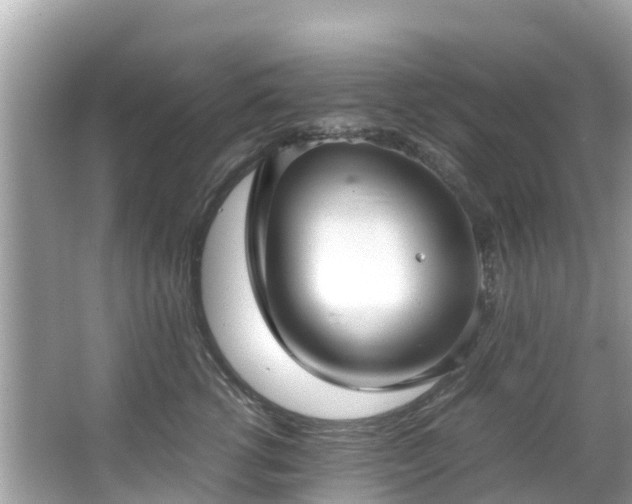 X0000066100762200603131230