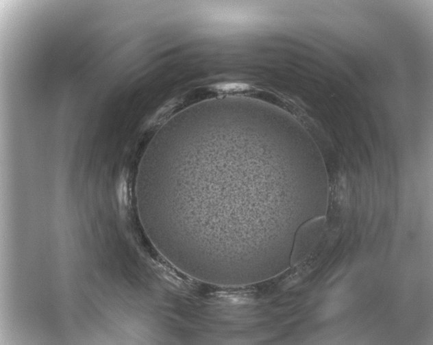 X0000066100763200603131230