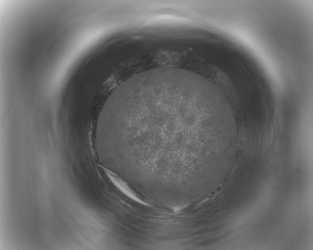 X0000066100765200603131230